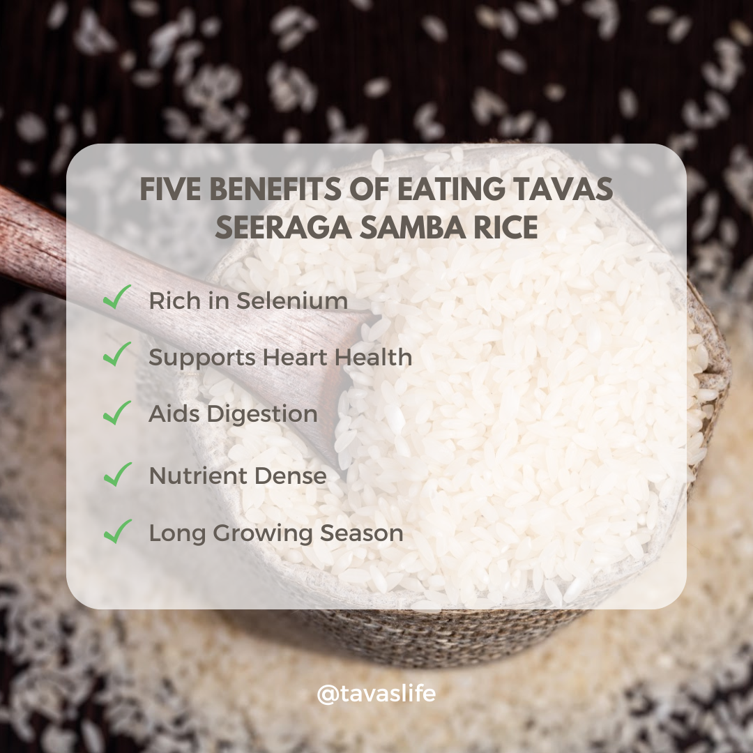 Seeraga Samba (White Rice)